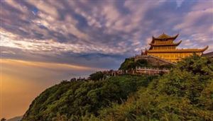 破碎机市场投资前景及需求分析(图6)