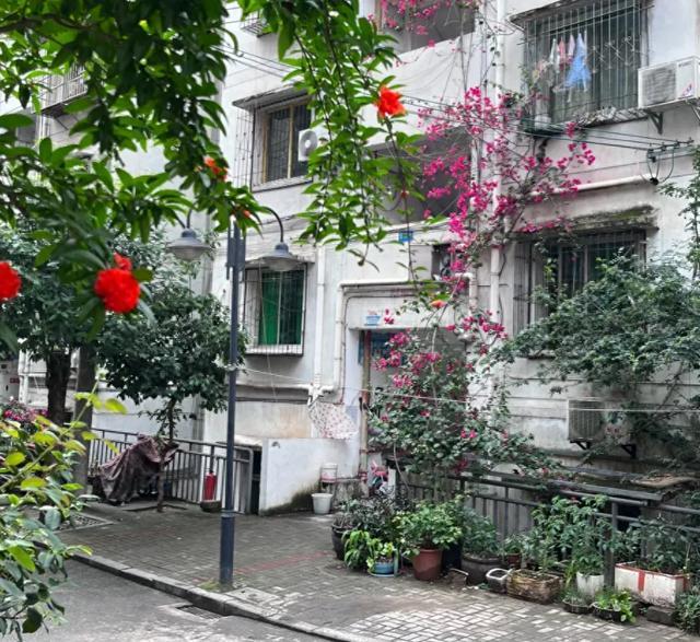 今明两年刚需买房的老百姓要牢记这7个字：买旧、买大、不买四(图3)