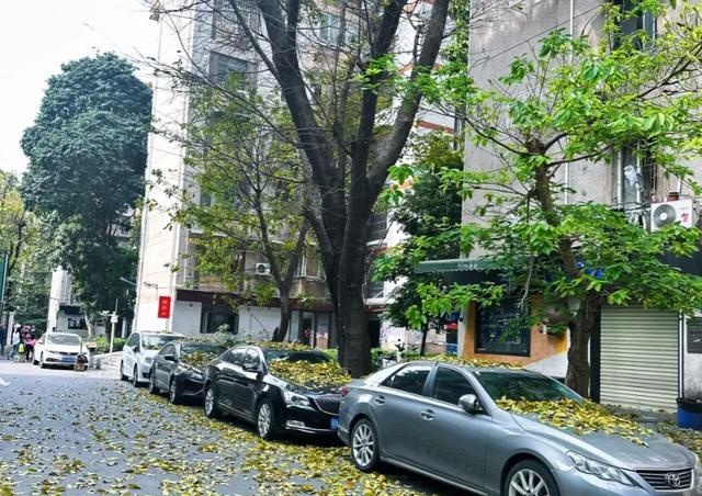 今明两年刚需买房的老百姓要牢记这7个字：买旧、买大、不买四(图4)