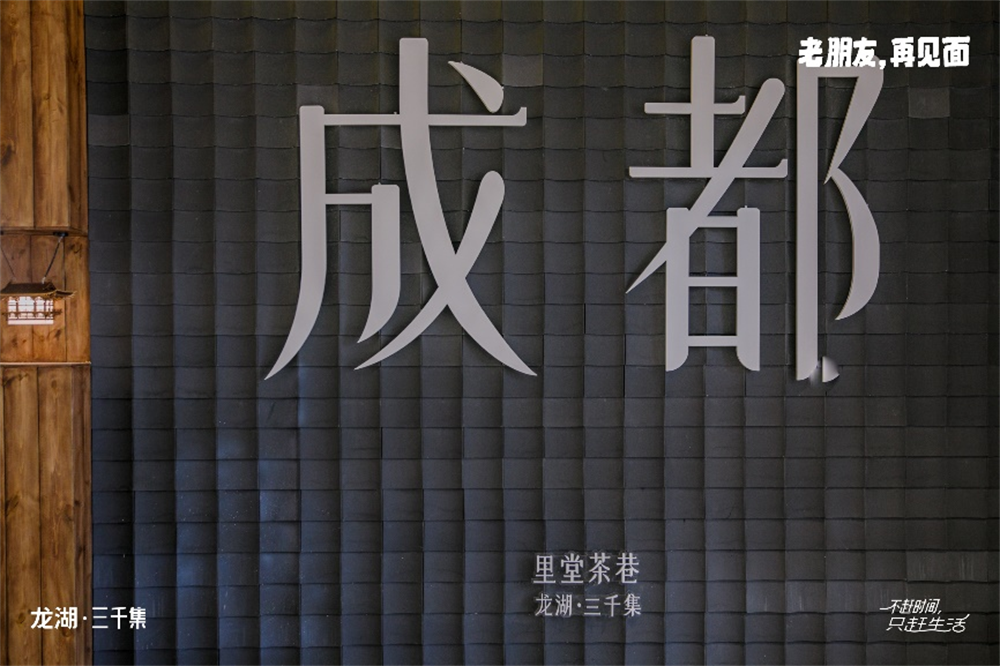 龙湖三千集丨以自我迭新创新龙湖的“非标”解法(图4)