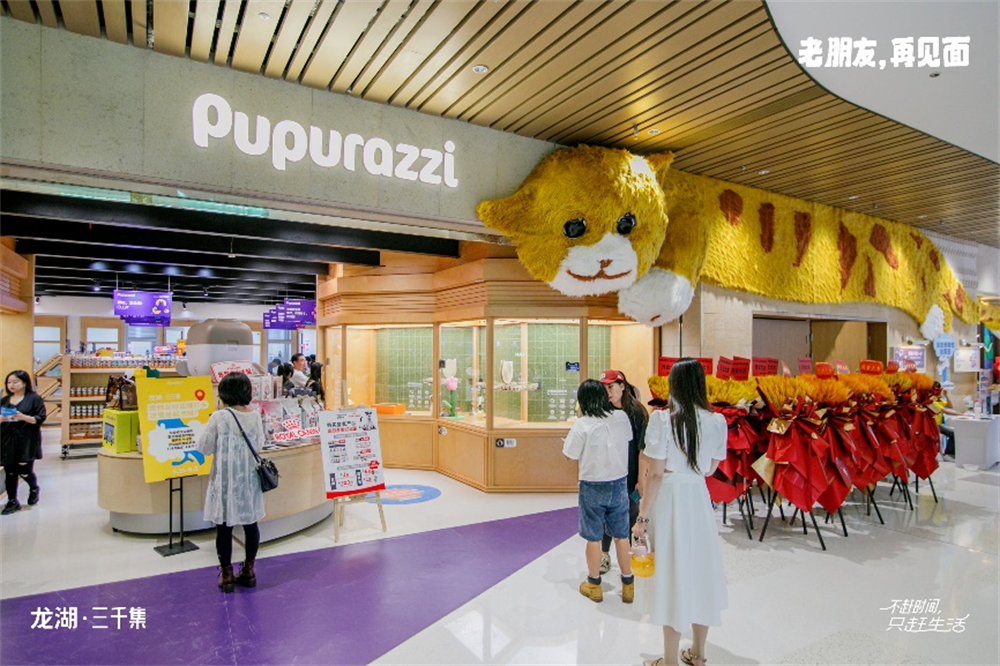 龙湖三千集丨以自我迭新创新龙湖的“非标”解法(图7)