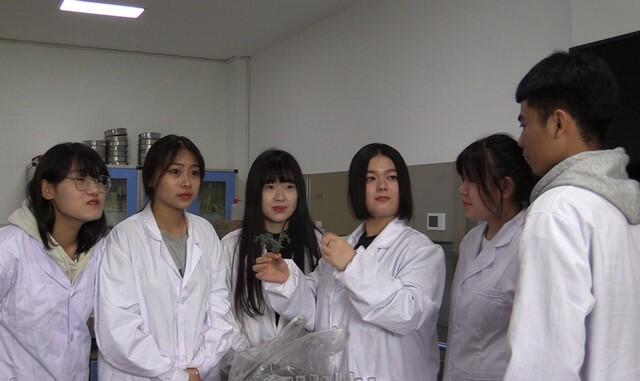 山东科技职业学院：“立地式”科研为中小企业插上转型升级的“翅膀”(图3)