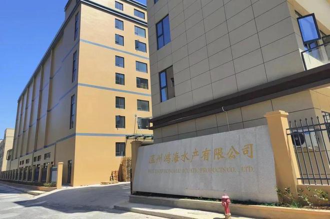 省级名单公布!洞头这7家公司火了!(图1)