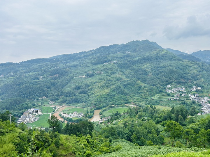 仁怀市九仓镇：清理山体落石守护道路安全(图1)