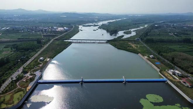 点赞日照东港!工业向新、点“绿”成金!(图15)