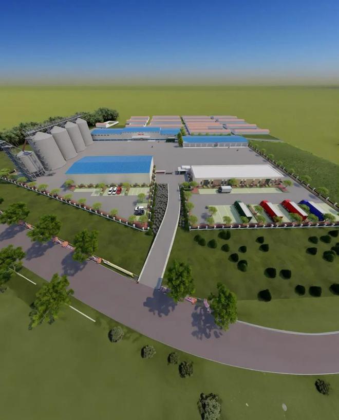 点赞日照东港!工业向新、点“绿”成金!(图9)