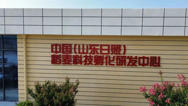 点赞日照东港!工业向新、点“绿”成金!(图13)