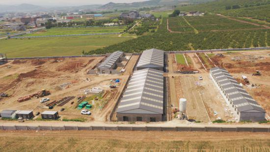 奋战当“夏”！项目建设涌热潮满弓劲发呈新景(图4)