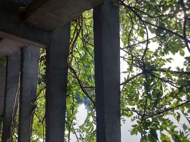 保险负债端改善 仍需投资端复苏(图1)