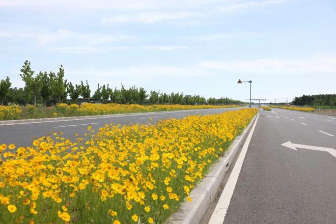 卢东磊带队到日照经开区部分项目和企业现场办公(图14)