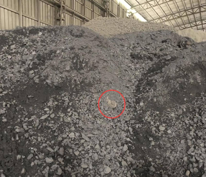 广西男子查看破碎机配件不幸身亡!砂石安全问题不容忽视!(图2)