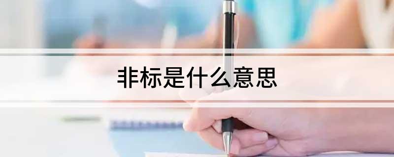 非标是什么意思(图1)