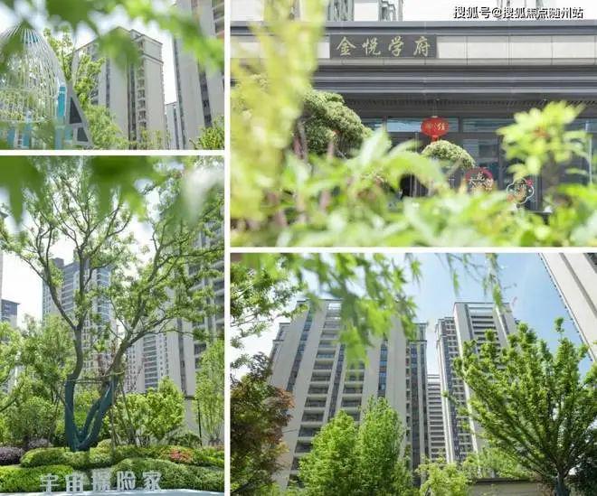 金悦学府2024网站-金悦学府楼盘详情-嘉善房天下(图7)