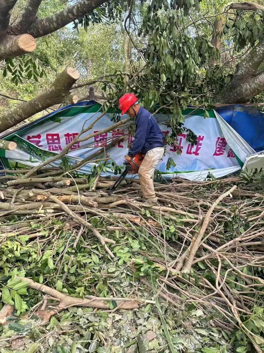 金光集团APP(中国)林务事业部海南基地支援海南抗击超强台风“摩羯”(图1)