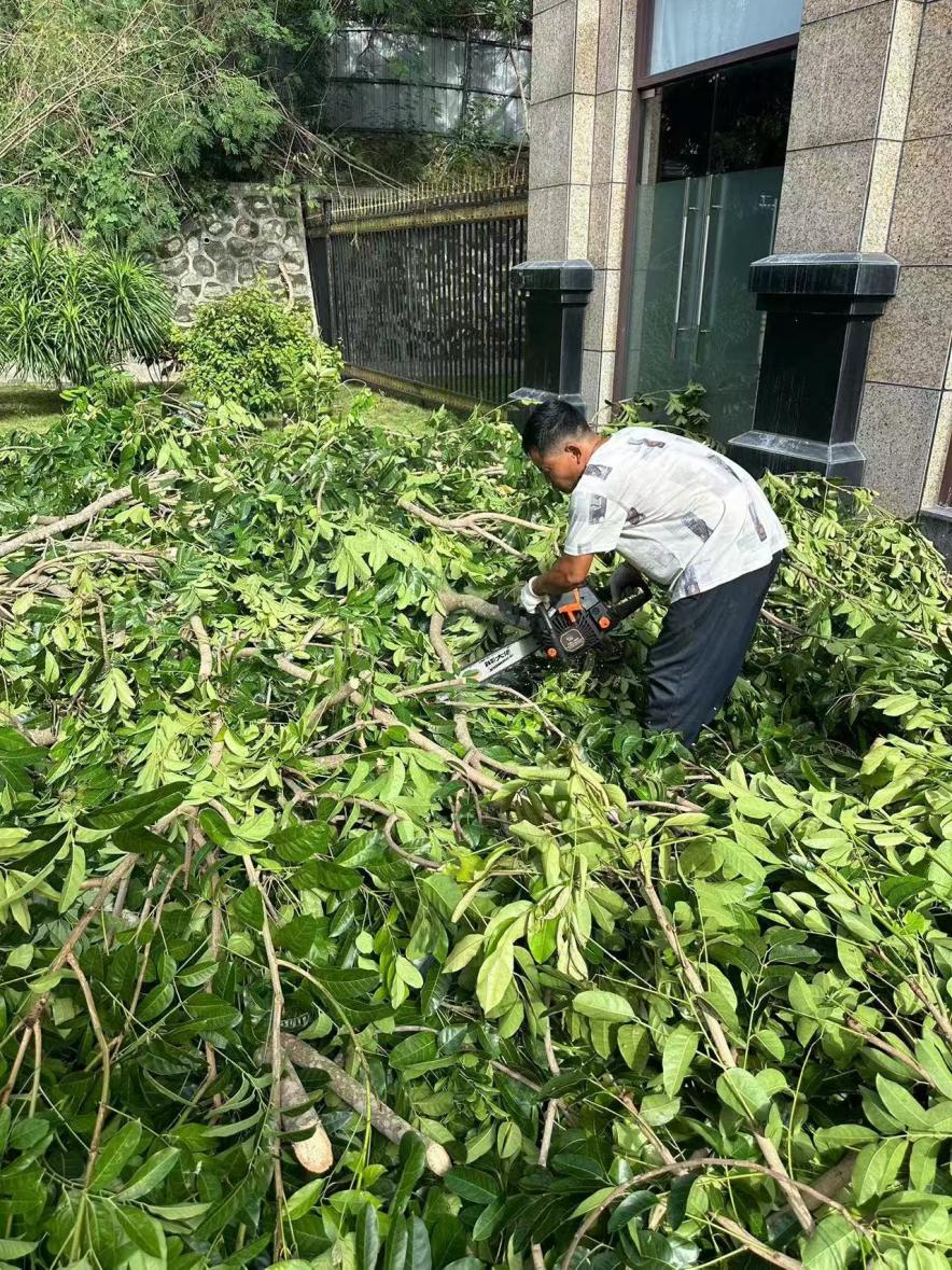 金光集团APP(中国)林务事业部海南基地支援海南抗击超强台风“摩羯”(图2)