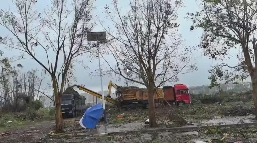 金光集团APP(中国)林务事业部海南基地支援海南抗击超强台风“摩羯”(图3)