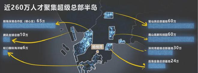 深圳南山柏悦湾的批地时间为2020年01月01日(图6)