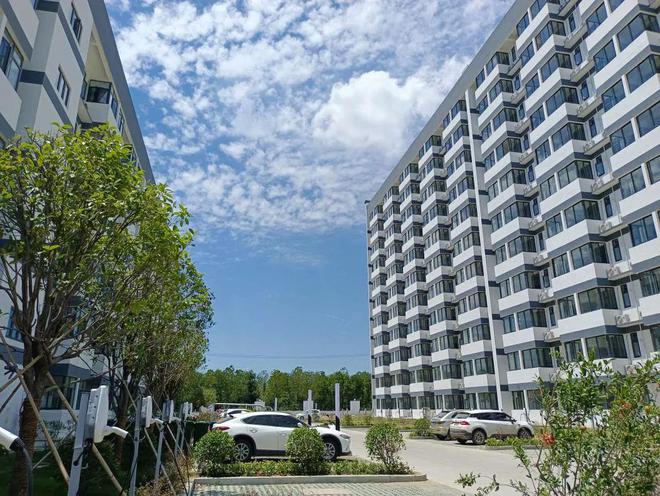 合肥市政府为比亚迪招工！(图3)