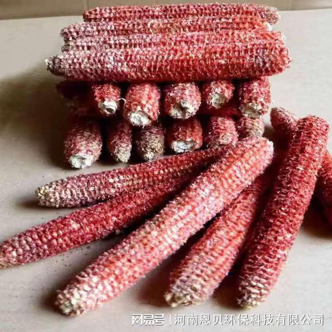 生物质能源新宠儿！玉米芯粉碎机的应用前景全面剖析(图1)