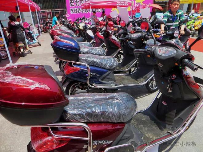 4大“割韭菜”配置新国标电动车超过3000元就该小心了(图1)