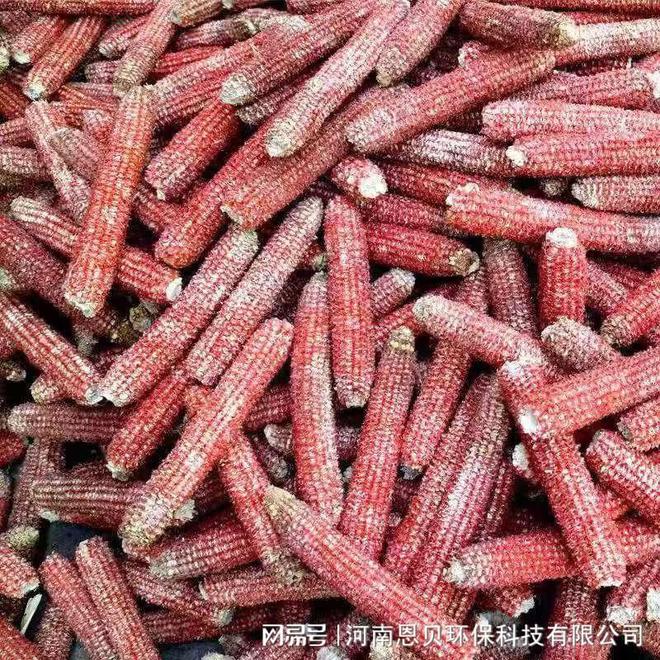 粉碎机生产厂家玉米秸秆粉碎机(图1)