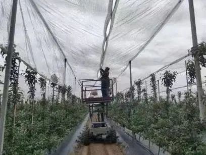 威海职业学院荣获“全省产业工人队伍建设改革工作表现突出集体”称号(图6)