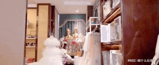 “上亿名媛”余晚晚：一套裙子值一套房豪宅厕所就有三室一厅(图9)