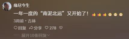 尔滨网红洗浴中心爆满！搓澡师傅：两天两夜没睡搓澡巾搓冒烟儿(图4)