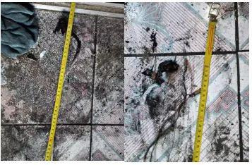 居民火灾亡2人调查组请示县政府同意决定不追责社区、派出所(图6)