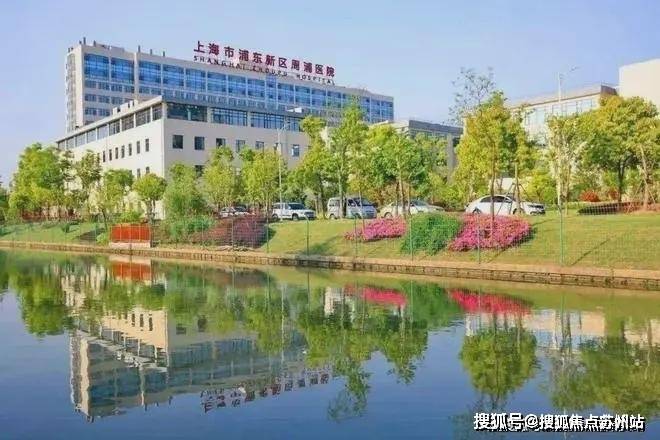 金桥碧云澧悦-金桥碧云澧悦欢迎您-首页网站楼盘详情价格户型(图12)