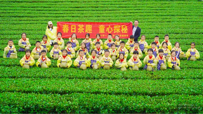 三杯香茶品牌感召力83852！列浙江省县市级茶叶地理标志品牌(图1)