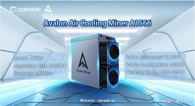 矿机界的：拼多多阿瓦隆1566系列性价比吊打一切(图1)