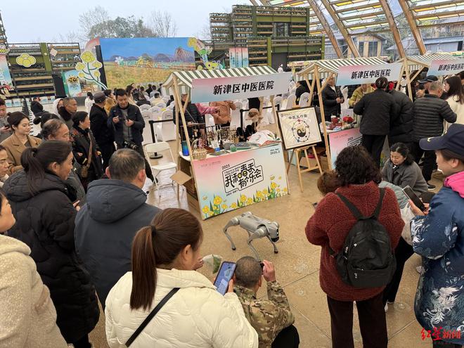 新津春糖季系列活动启动！花海里的精彩将持续整个三月(图1)