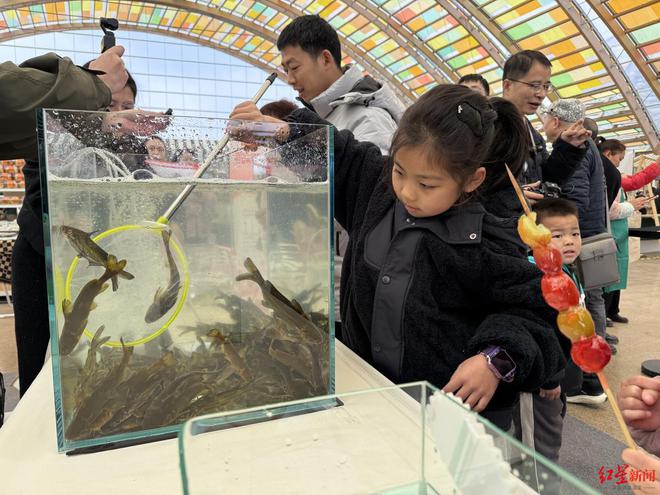 新津春糖季系列活动启动！花海里的精彩将持续整个三月(图2)