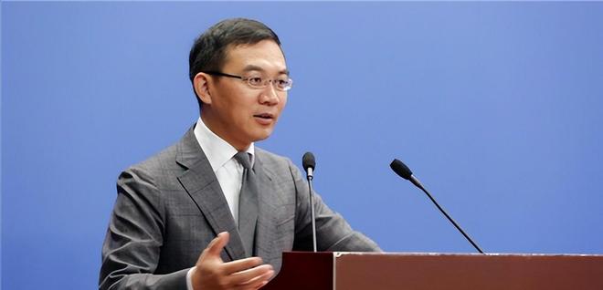前央视主持人郎永淳沦为阶下囚出狱之后现在过得怎么样了(图2)