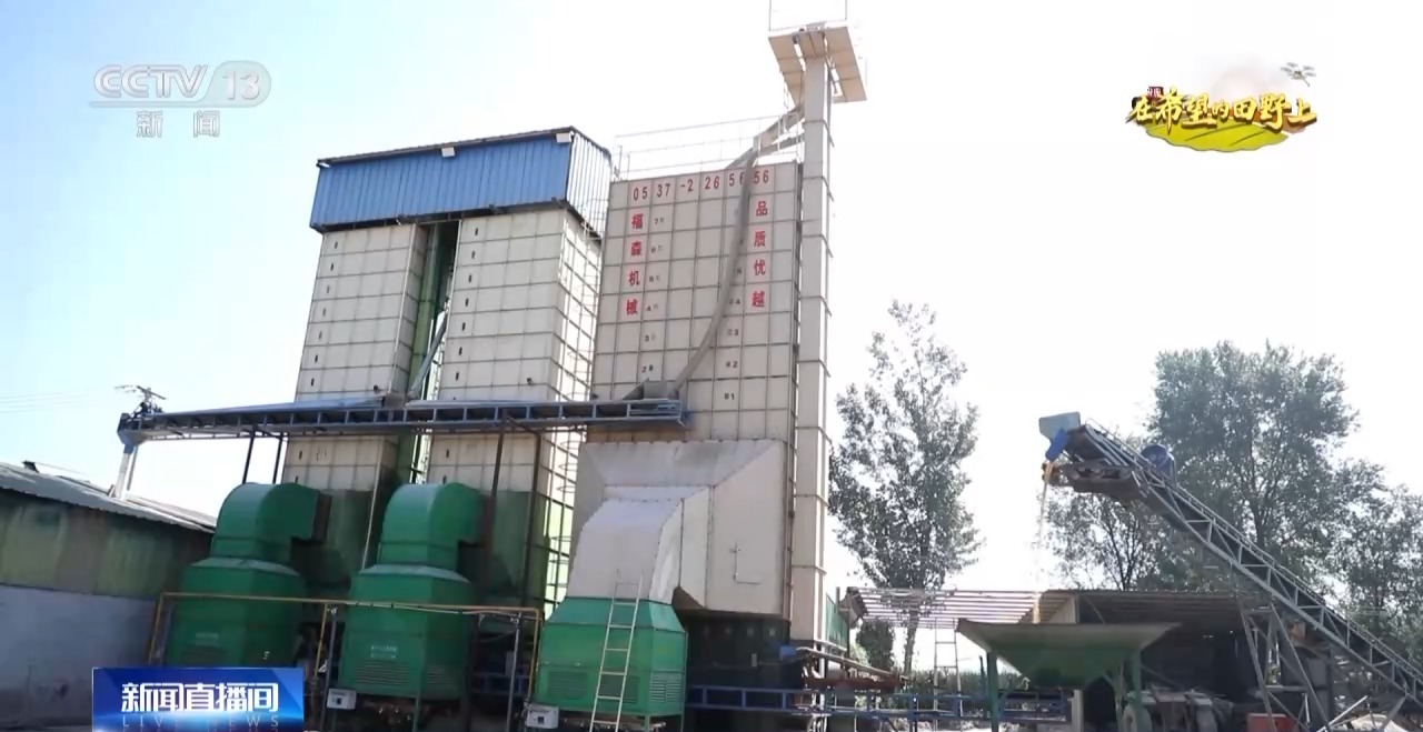 粮食住进“好房子”好模式助增收！各地保障秋收有“粮”方(图3)