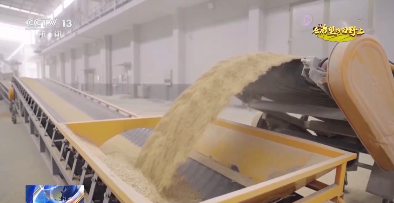 粮食住进“好房子”好模式助增收！各地保障秋收有“粮”方(图1)