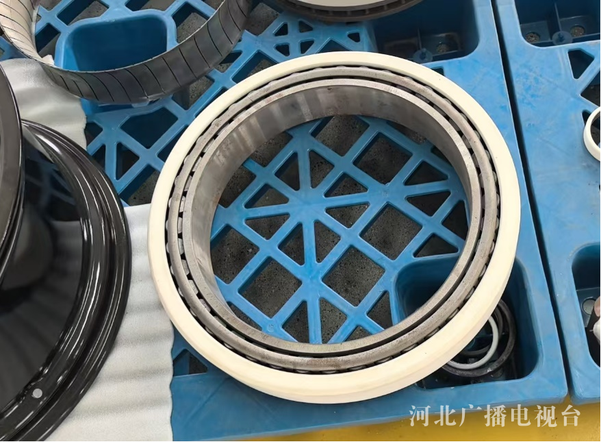 潮起渤海湾·新质生产力的力量协同聚创新落地生真“金”(图4)