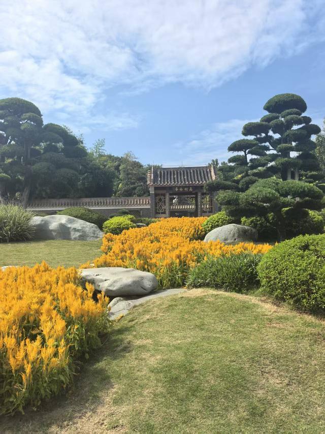 南宁园博园矿坑生态修复：从“生态疤痕”到城市绿洲(图2)