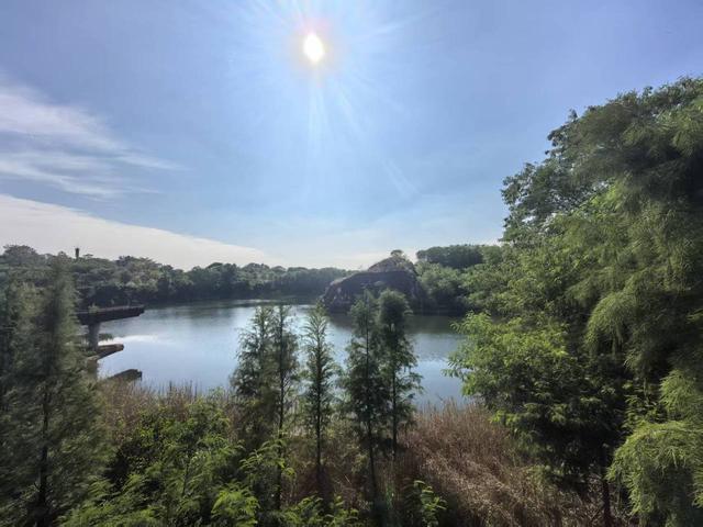 南宁园博园矿坑生态修复：从“生态疤痕”到城市绿洲(图1)