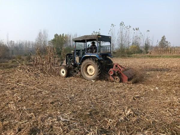 宝丰县张八桥镇：党建引领绘就“三秋”生产暖心画卷(图1)