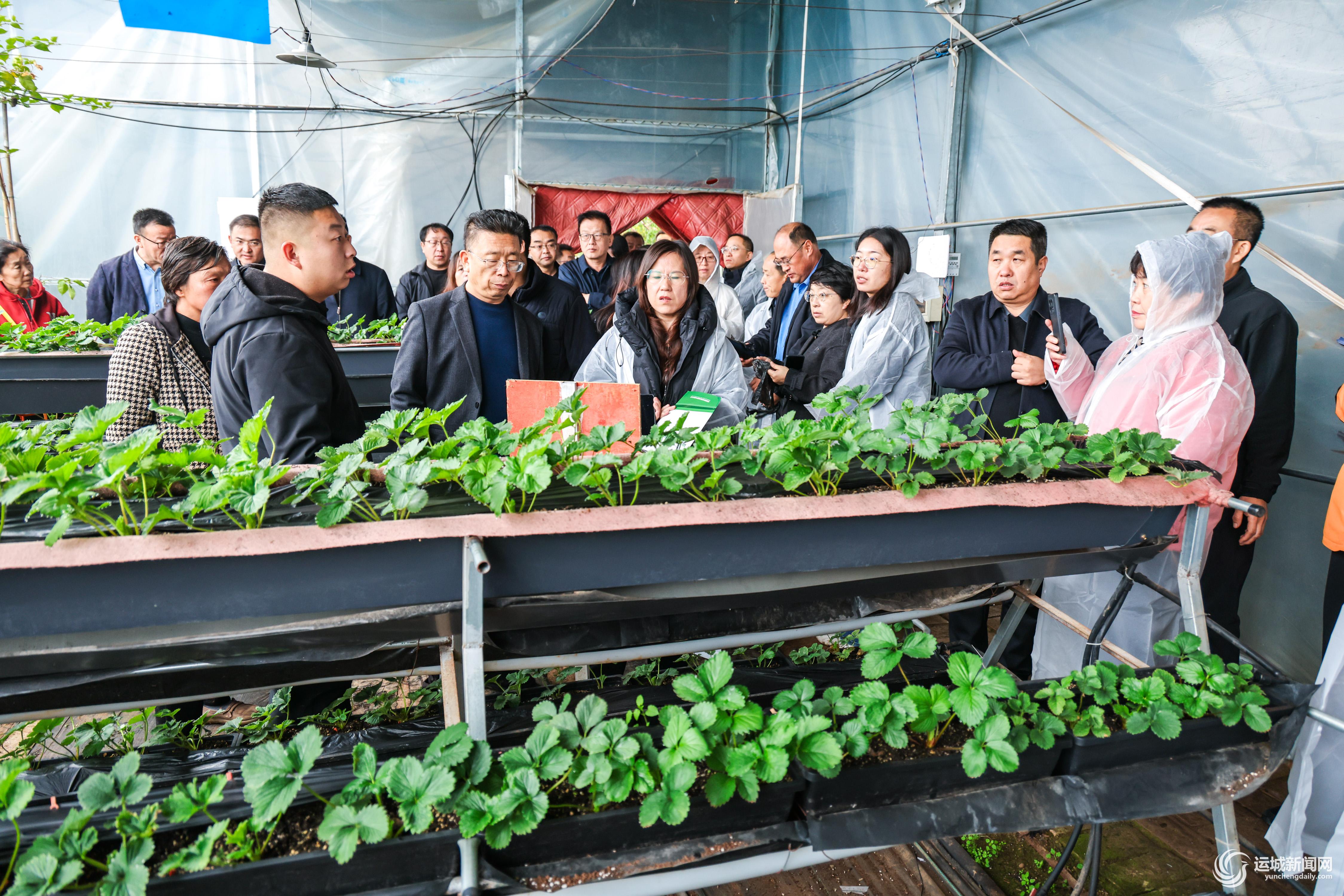 地膜“闭环”护沃土(图1)