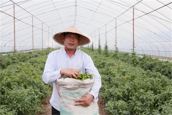 江苏邳州邢楼：一个边界乡镇的产业突围之战(图2)