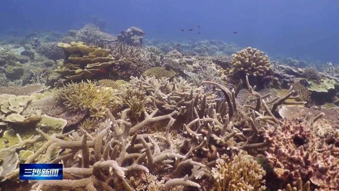 多国搅局也无用“南海第一大岛”初具雏形战略价值究竟有多大(图4)