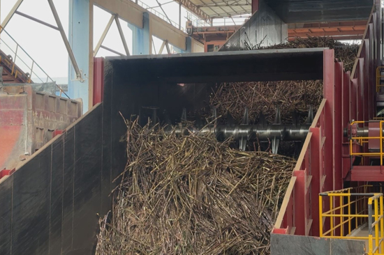 横州:甘蔗榨季开启“甜蜜事业”提质升级迎丰收(图1)