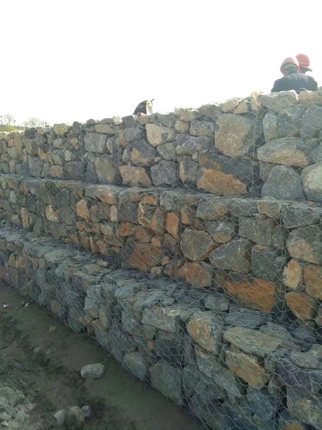 安平石笼网采购指南：2026年五大优质制造商推荐与对比(图1)